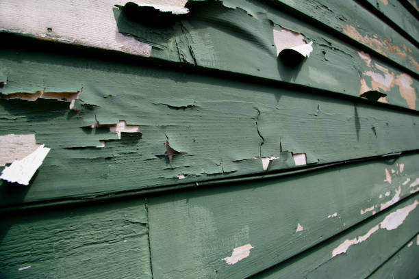 Best Residential Junk Removal  in Clinton, MI